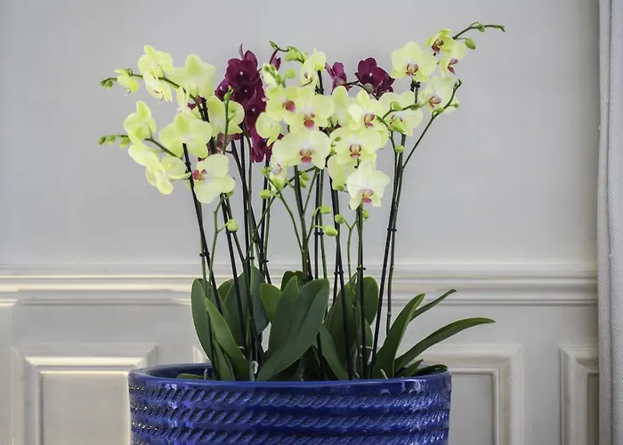 Luxury In Center - Louvre Museum