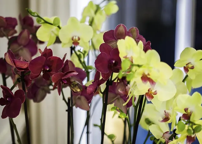 Luxury In Center - Louvre Museum